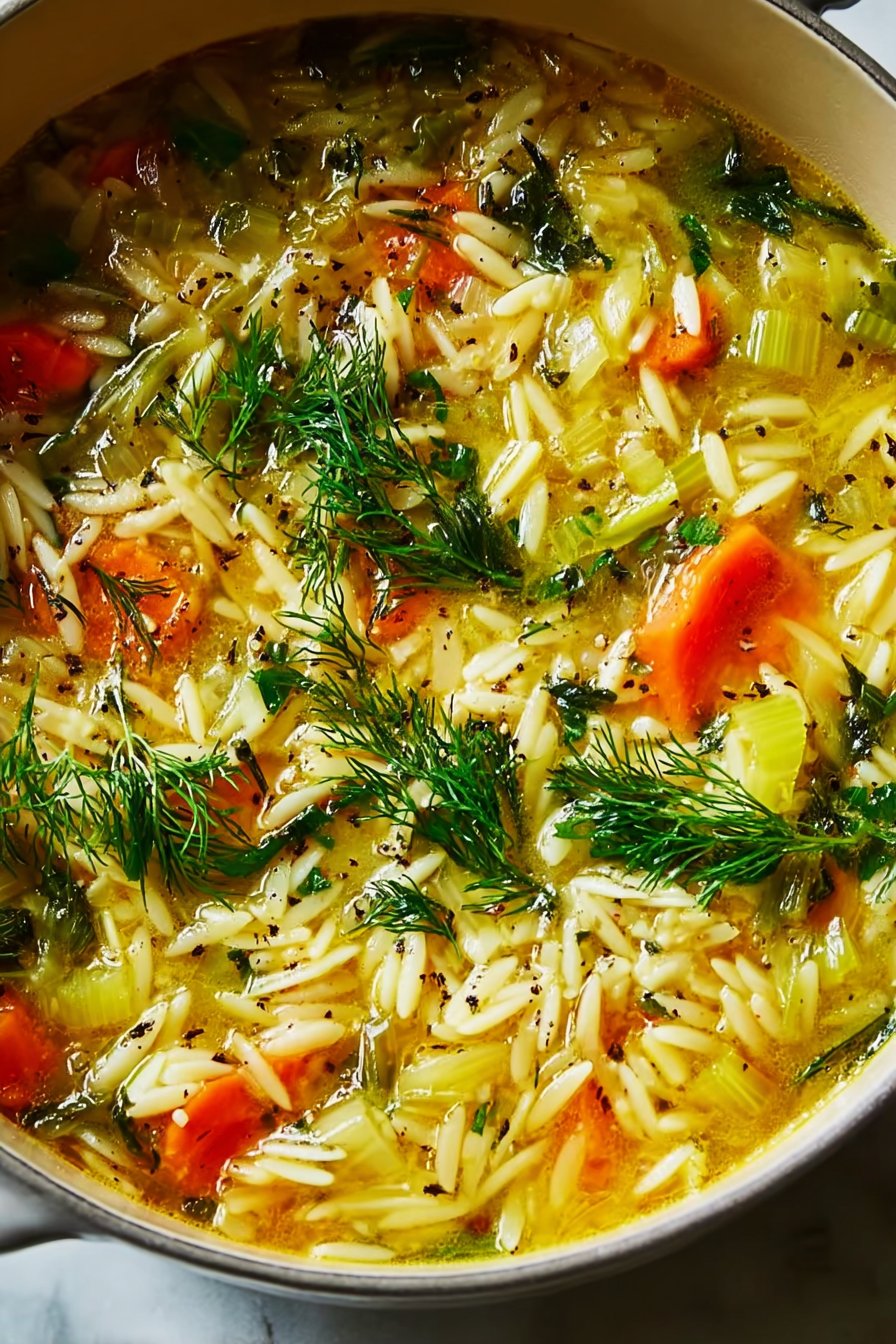 Irresistible Orzo, Leek, and Dill Soup