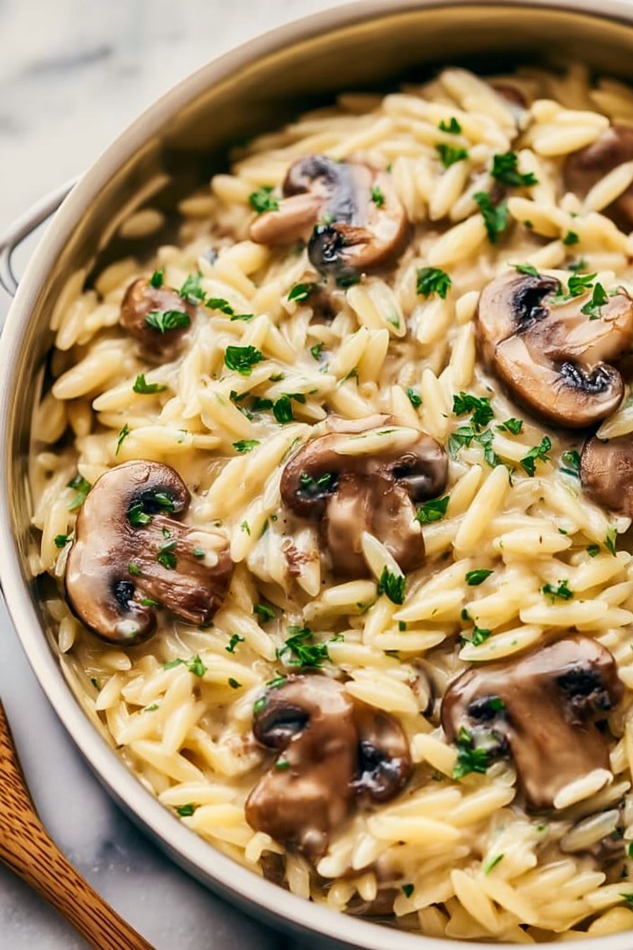 Tasty Orzo with Mushrooms