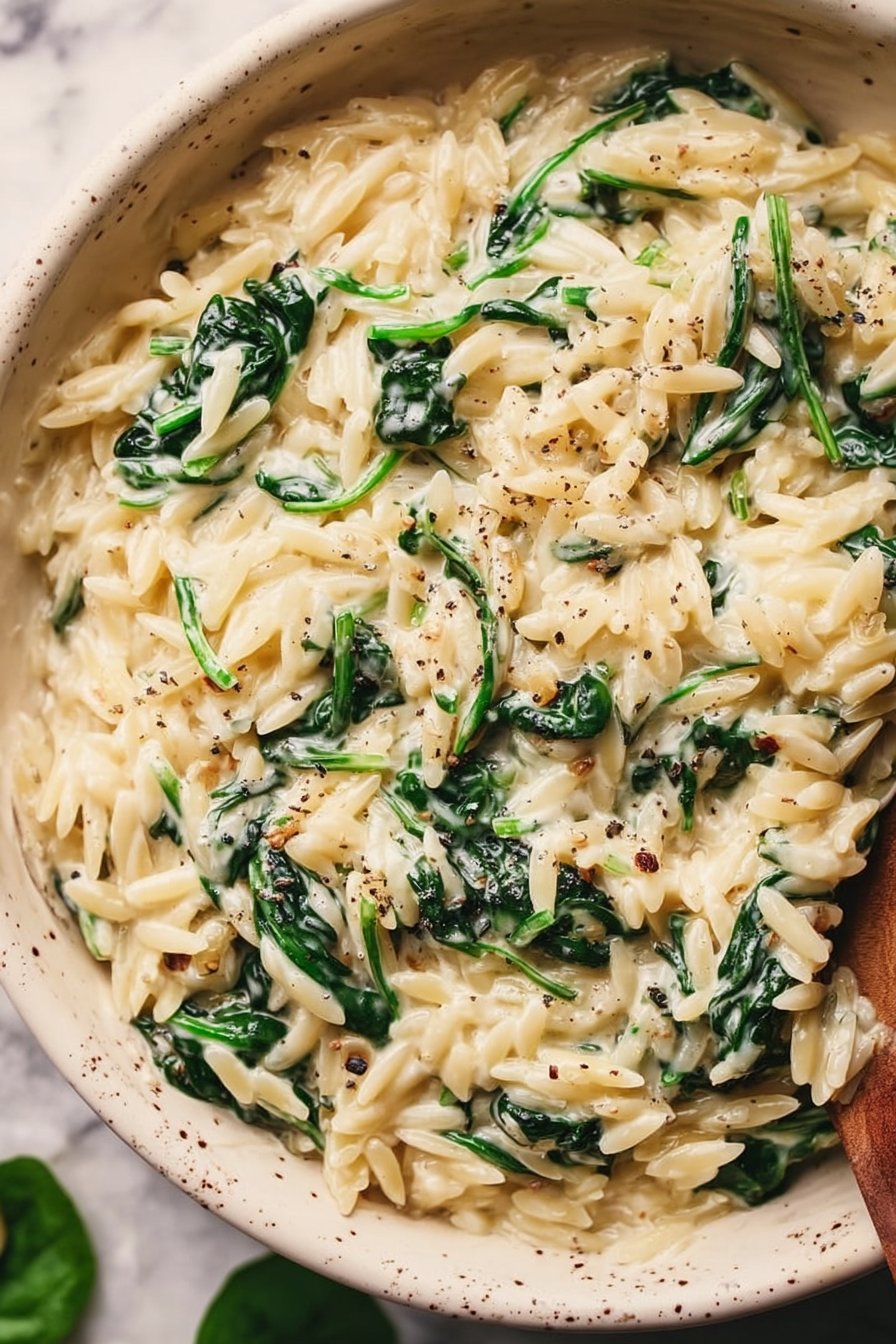 Creamy Garlic Spinach Orzo
